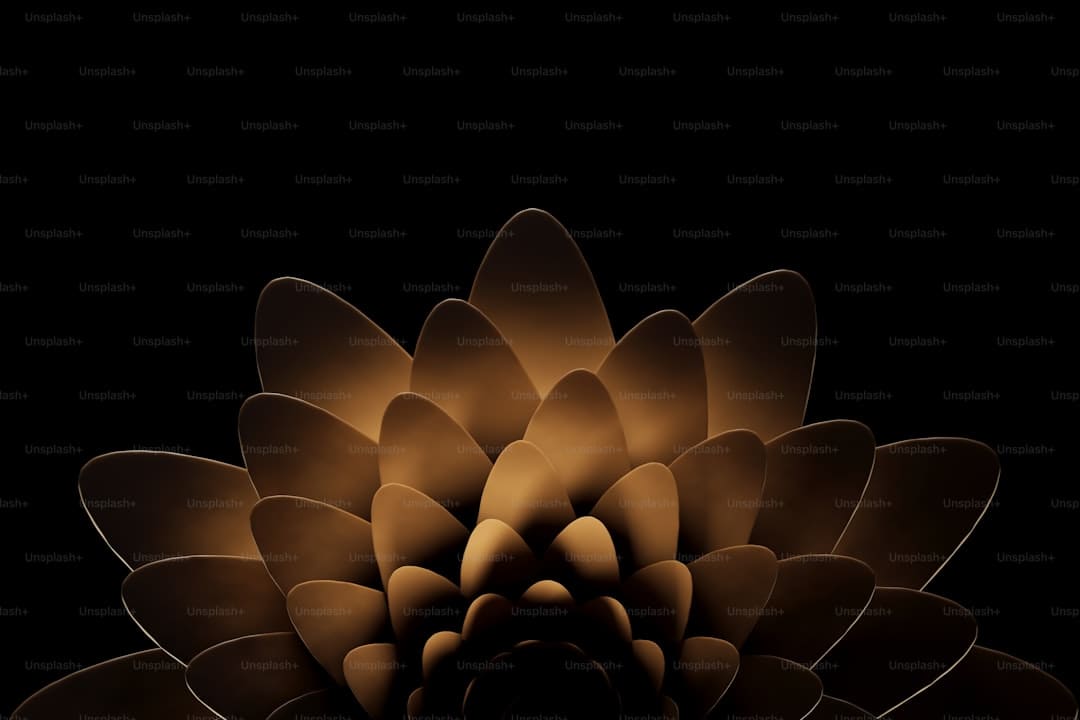 https://static.kpwlw.com/a0b5d9d806fcab37/BE5323AC62C65E78D9211FD92835D0F8.jpg
